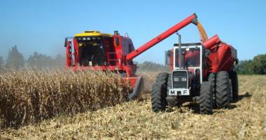 Stire din Economie : Ecuația agriculturii românești: recolte record și prețuri rușinoase