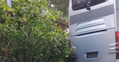 GALERIE FOTO / ACCIDENT RUTIER GRAV în Eforie Nord. Un autocar cu zeci de turiști a intrat într-un copac - 4