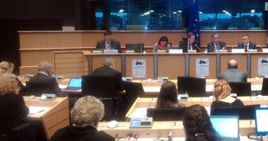 Rețeaua Universităților de la Marea Neagră, reprezentată la Bruxelles de prof. Eden Mamut - 2