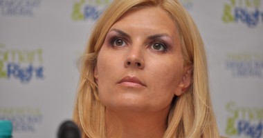 Stire din Politică-Administrație : Elena Udrea: "Am trecut prin situații umilitoare, dar nu vreau să mă retrag"