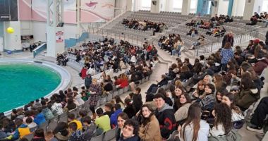 Stire din Social : Elevii de la Liceul Internațional, în vizită la Delfinariu