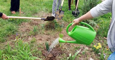 Elevii din județul Constanța, cei mai buni din țară la amenajarea de spații verzi - 2