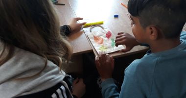 Stire din Cultură-Educație : Elevii din Techirghiol, voluntari pentru  o carieră de succes