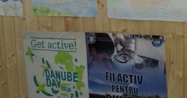 Elevii și voluntarii au făcut curat  pe malurile Dunării - 2
