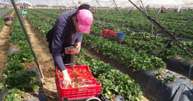 Stire din Social : Aproape 600 de locuri de muncă vacante în Spaţiul Economic European