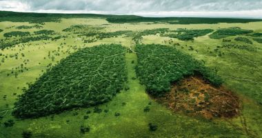 Stire din Economie : Energia nucleară contribuie la procesul decarbonizării
