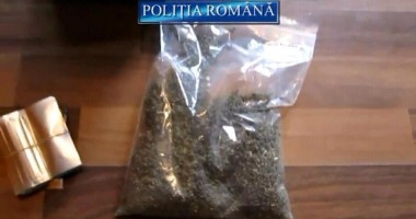 CONSTANȚA / Captură record de etnobotanice  VIDEO - 1