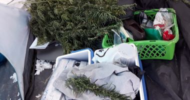 E plin de droguri în Vama Veche! Încă trei tineri, prinși cu "iarbă" de vânzare - 2