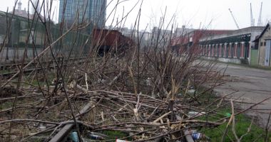 Epoca dezastrului: de la dispariția flotei naționale la distrugerea transportului feroviar - 4