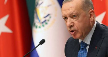 Stire din Actualitate : Erdogan ameninţă presa din Turcia cu represalii pentru conţinut nociv
