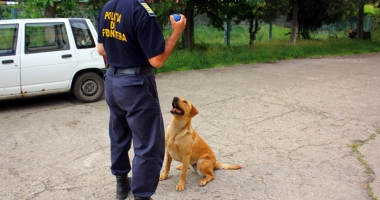 Polițiștii de frontieră, la limita răbdării. "Din birou, nu ai cum să știi ce înseamnă munca de teren!" - 3