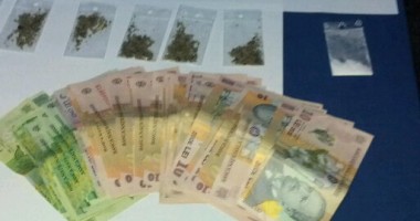 Vindea etnobotanice la colț de stradă