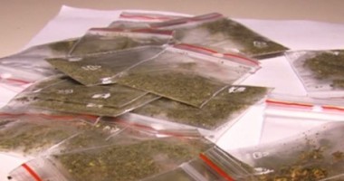 Stire din Eveniment : Etnobotanice vândute în poarta liceului din Năvodari