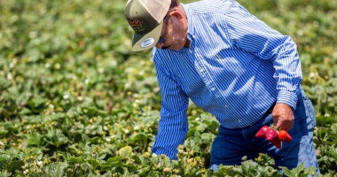 Stire din Social : Ce oferte de muncă mai sunt valabile în Spațiul Economic European