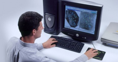 Stire din Social : EURES. 80 de locuri de muncă, disponibile în străinătate. Află aici ce se caută