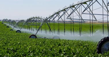 Stire din Economie : Eurodeputații susțin reutilizarea apelor uzate pentru irigarea culturilor agricole