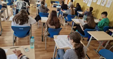 Ce a picat la Română la Evaluarea Națională 2026. Rezumat, gramatică și texte despre animale și călătorii