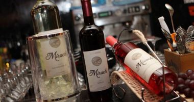 Prezentare de vinuri, cu asociere culinară și muzică live, la restaurant Ibis - 2