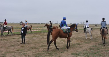Primul eveniment hipic internațional, la Herghelia Mangalia - 2