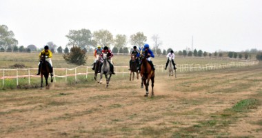 Stire din Eveniment : Primul eveniment hipic internațional, la Herghelia Mangalia
