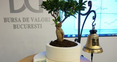 Stire din Economie : Eveniment la Bursa de Valori București dedicat egalității de gen