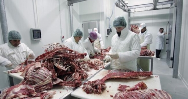 Stire din Economie : Iată cum a evoluat producția autohtonă de carne