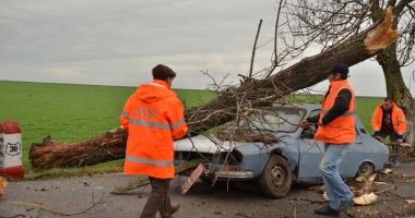 Stire din Eveniment : Zăpadă și accidente la Negru Vodă - Galerie FOTO