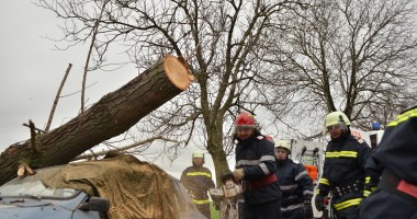 Zăpadă și accidente la Negru Vodă / Răniții au fost transportați cu elicopterul - Galerie FOTO - 2