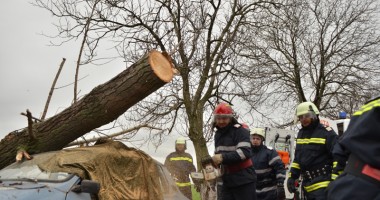 Zăpadă și accidente la Negru Vodă - Galerie FOTO - 2