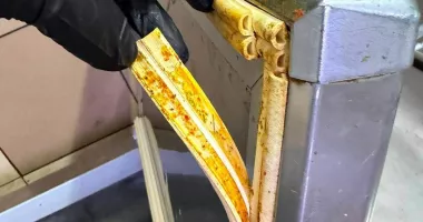 Amenzi de 144.000 de lei în Constanța. Insecte, produse expirate și mizerie, descoperite la restaurante și baruri - 4