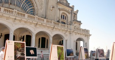 Stire din Cultură-Educație : România sălbatică din fața Cazinoului