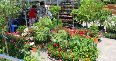 Expoagroutil vă așteaptă în Mamaia! - 10