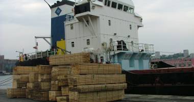 Stire din Economie : Exportul de bușteni, cherestea și lemn de foc se suspendă!