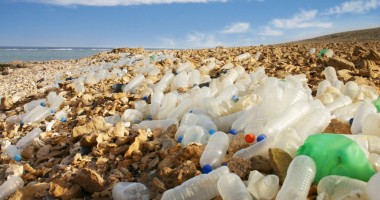 Stire din Social : Expoziție "Marea în acvariu!", în Parcul Tăbăcăriei