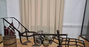 Stire din Cultură-Educație : Dobrogea de altădată, adusă la viață într-o expoziție la Muzeul de Artă Populară Constanța