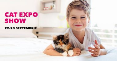 Stire din Cultură-Educație : Expoziție  de pisicuțe,  în week-end, la VIVO! Constanța