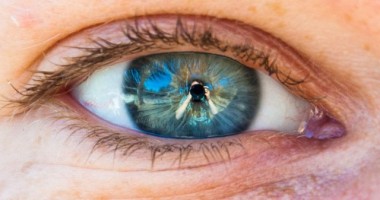 Stire din Tehnologie : Imaginile din ochii victimelor, sursă de informații pentru anchetatori
