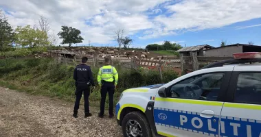Stire din Eveniment : Controale la ferme din județul Constanța. Sancțiuni pentru nereguli privind creșterea animalelor