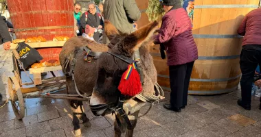 Constănțenii, prezenți în număr mare la slujba de Bobotează oficiată de ÎPS Teodosie - 2