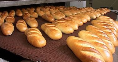 Stire din Social : ANPC a închis o fabrică de pâine. „Gândacii erau eclipsaţi de şobolani”