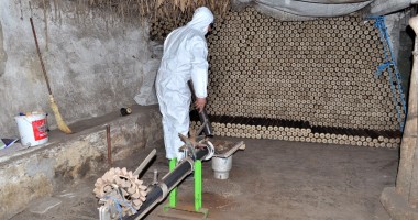 Comuna pe cale de dispariție - 6