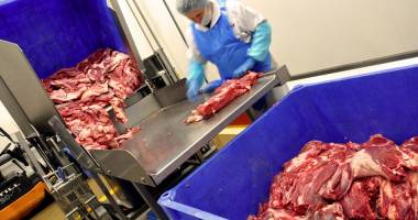Stire din Actualitate : Anchetă asupra unei rețele de trafic de carne de cal, în Europa