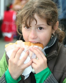 Efectele nocive ale alimentelor fast - food