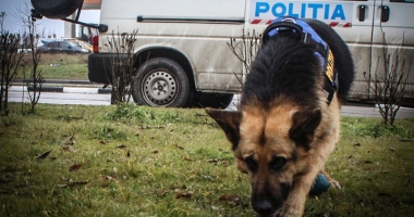 Fată de 14 ani, din Năvodari, căutată după ce a dispărut de acasă