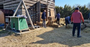 Stire din Eveniment : Demersuri pentru reintegrarea deținuților de la Penitenciarul Poarta Albă, cu ajutorul câinilor fără stăpâni