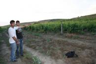 Stire din Eveniment : Trei turci vroiau să treacă ilegal granița în România