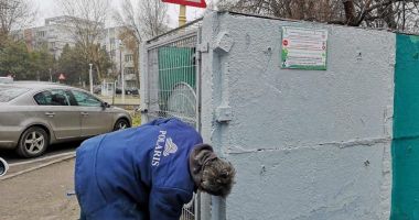 Măsuri pentru încurajarea colectării selective a deșeurilor, la Constanța