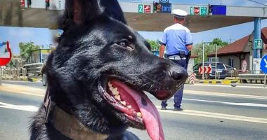 Stire din Eveniment : Poliţia, despre radare: "Nu folosiți Waze-ul! Vă spunem noi că sunt pe toate drumurile care duc către Constanța!"