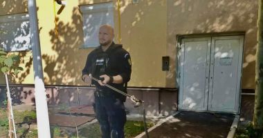 Viperă de 60 de centimetri, găsită de locatari lângă scara unui bloc