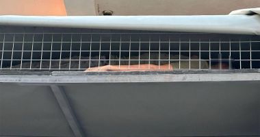 Zece migranți au fost depistați la PTF Vama Veche, ascunși într-o autoutilitară - 2